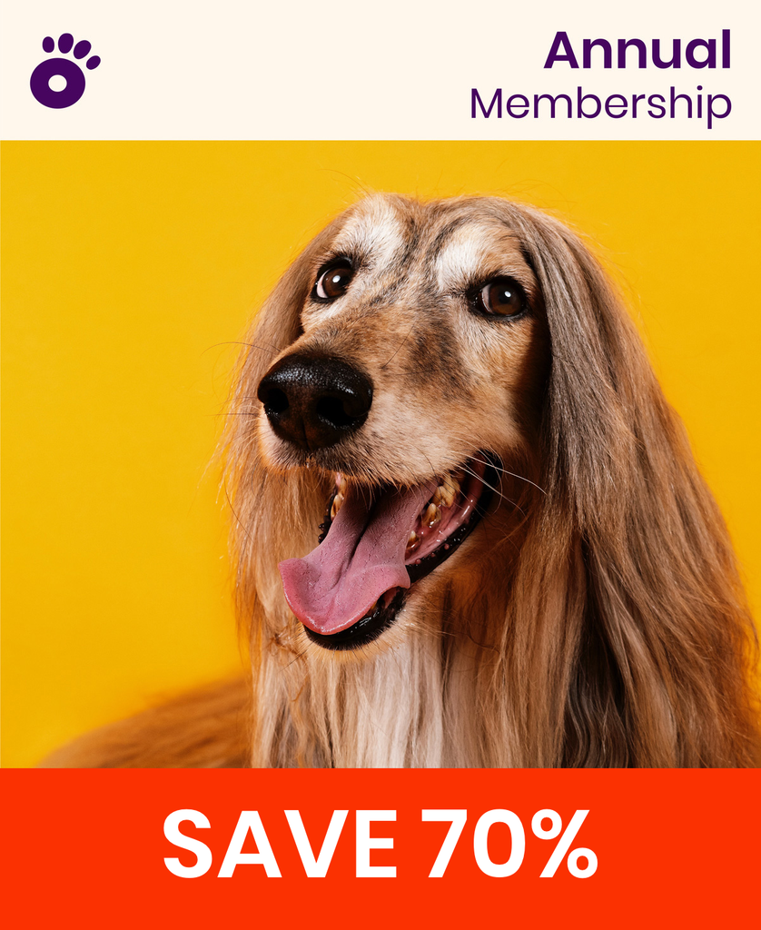 Wiglo Annual Membership | $89.99/year