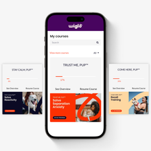 Load image into Gallery viewer, Membership Gallery 2 (Not For Sale)