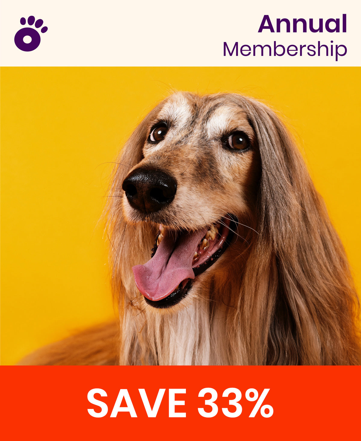 Wiglo Annual Membership | $89.99/year