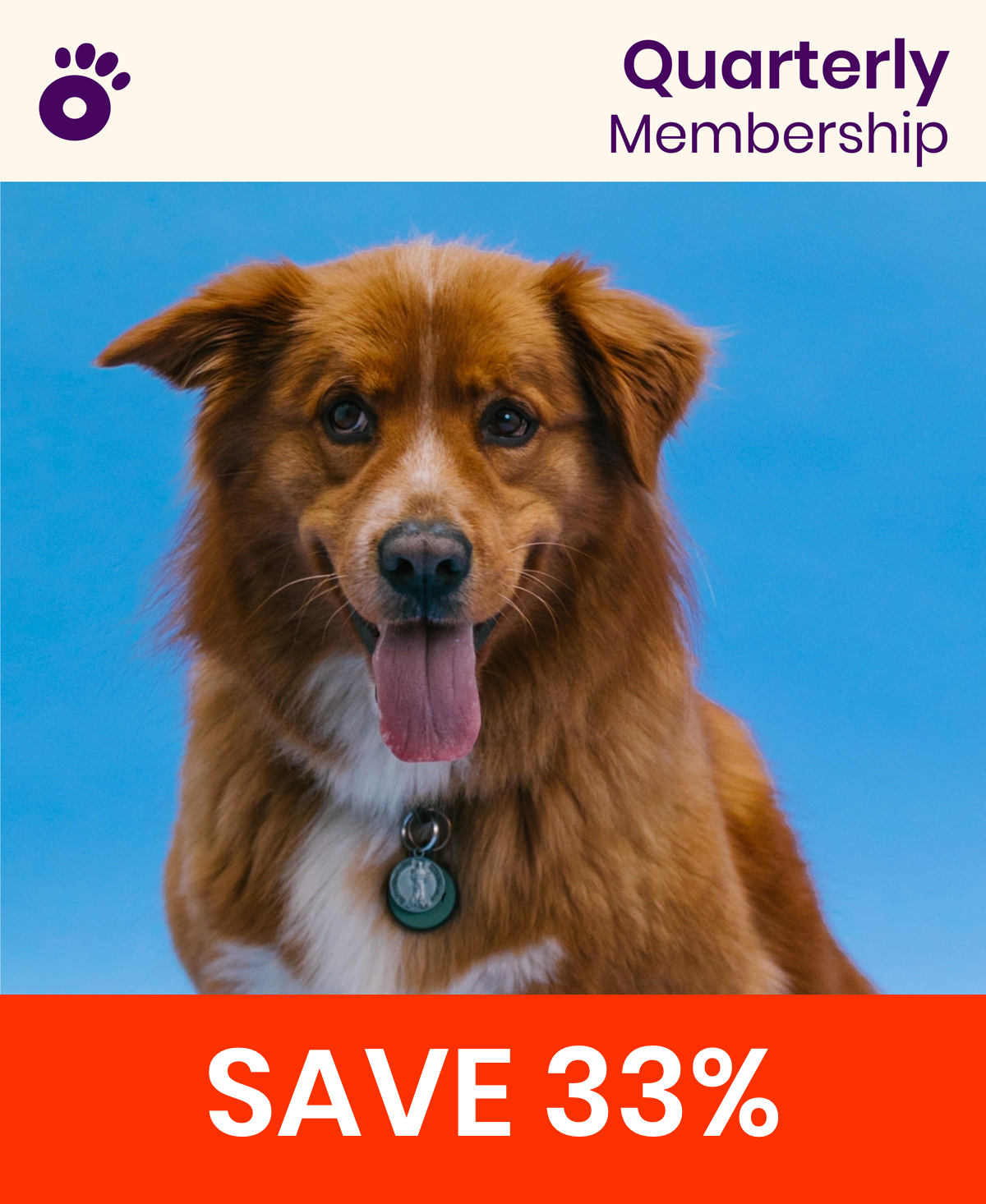 Wiglo Quarterly Membership | $49.99/quarter