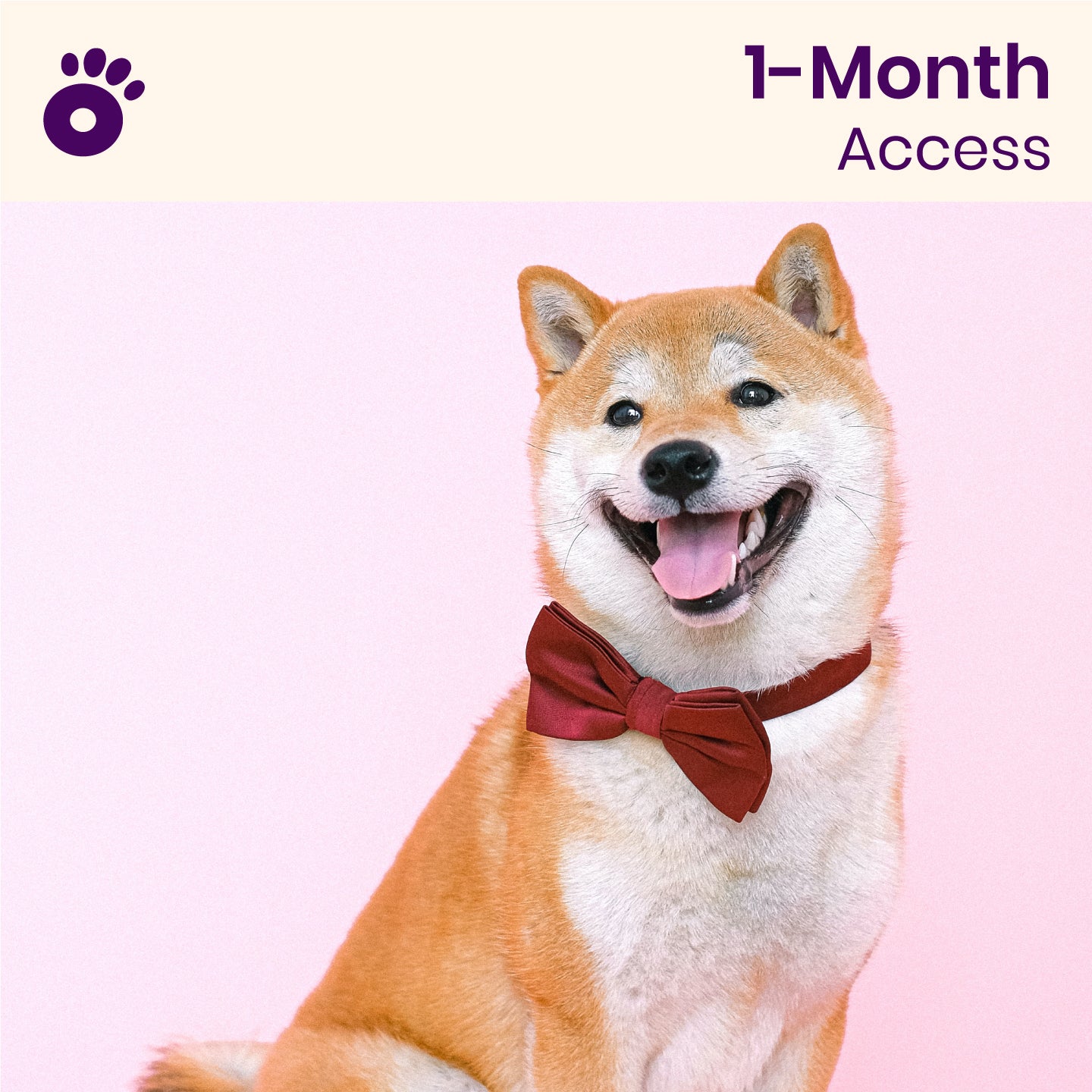 Wiglo Standard (1-month access)