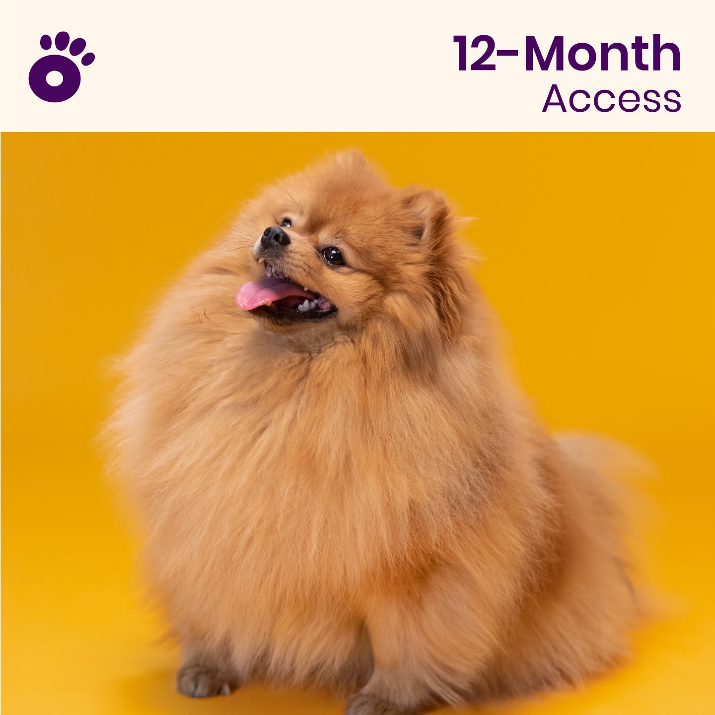 Wiglo Annual (12-month access)