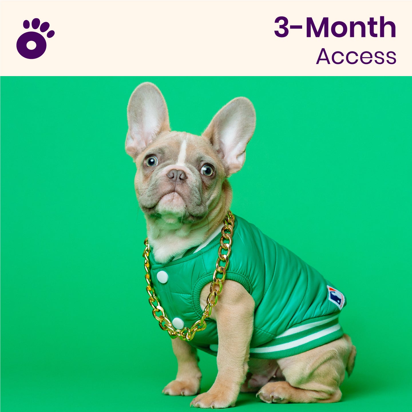 Wiglo Quarterly (3-month access)