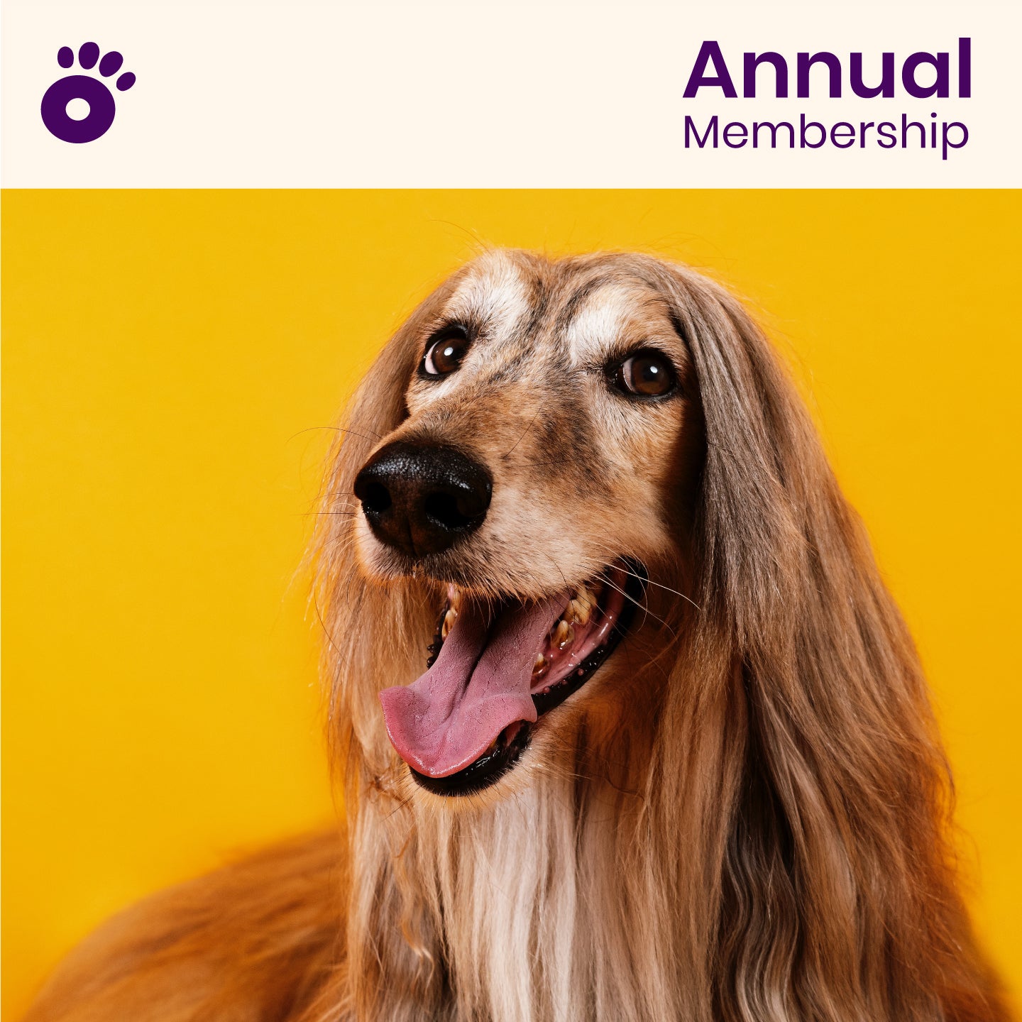 Wiglo Annual Membership