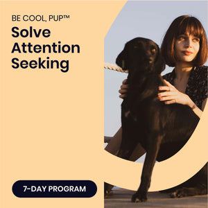 BE COOL, PUP™ | 7-Day Program To Solve Attention Seeking