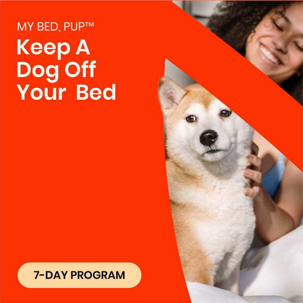 MY BED, PUP™ | 7-Day Program to Keep Dog Off Your Bed