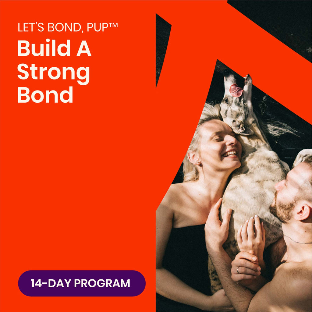 LET’S BOND, PUP™ | 14-Day Program to Build a Strong Bond