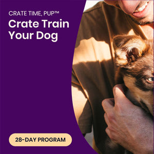 CRATE TIME, PUP™ | 28-Day Program To Crate Train Your Dog