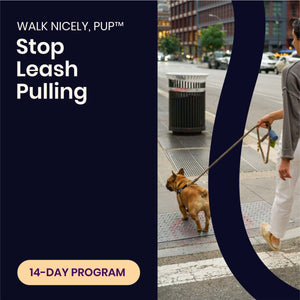 WALK NICELY, PUP™ | 14-Day Program to Stop Leash Pulling