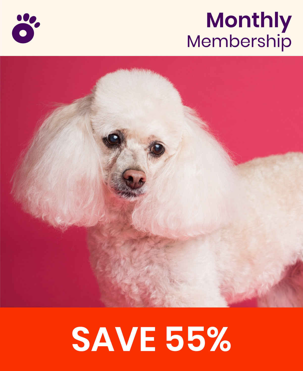 Wiglo Standard Membership | SALE 55% OFF