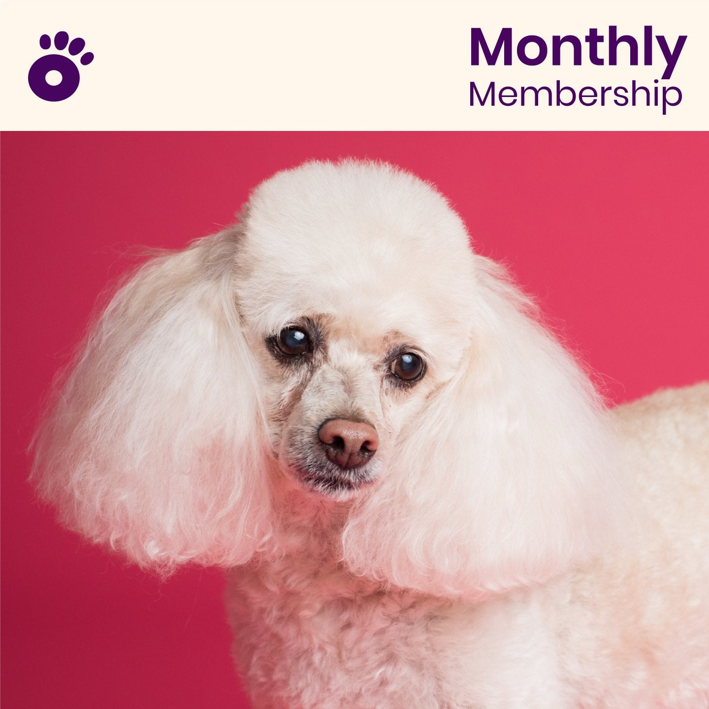 Wiglo Standard Membership | First month $9.99, then $49.99/mo