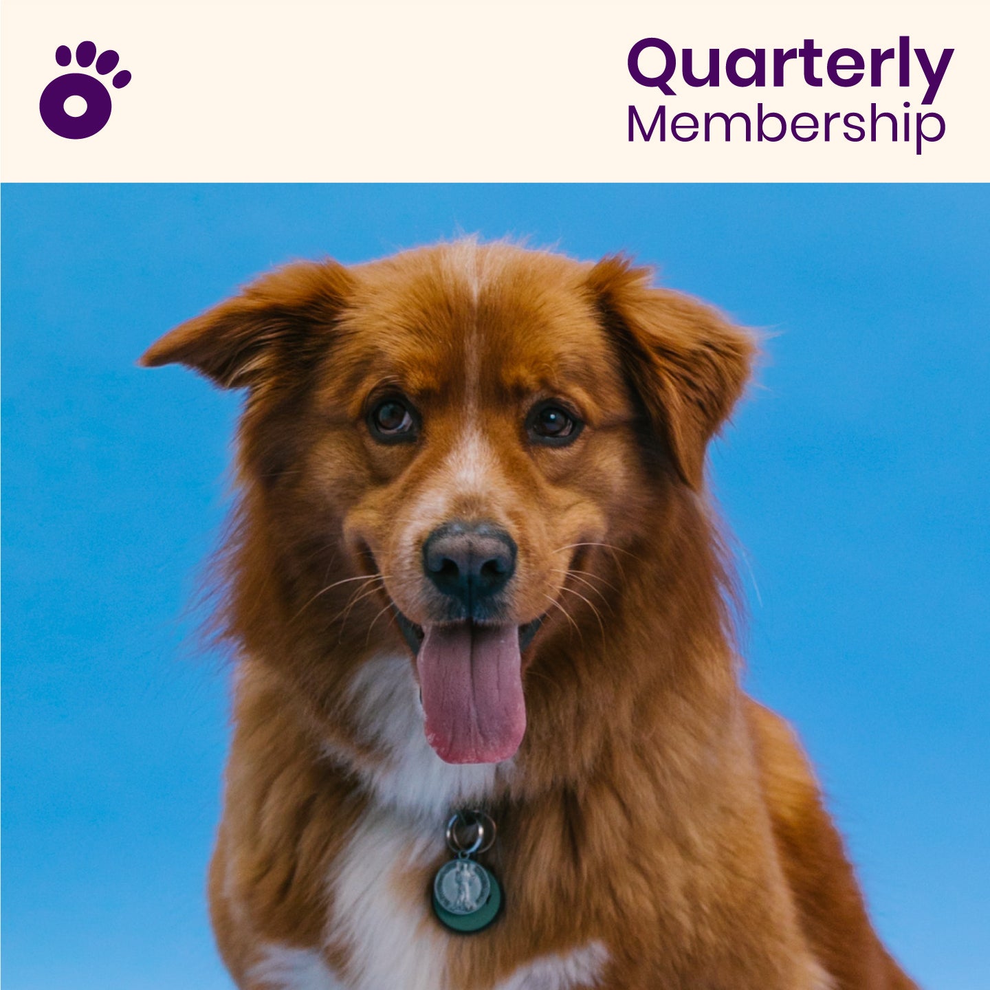 Wiglo Quarterly Membership