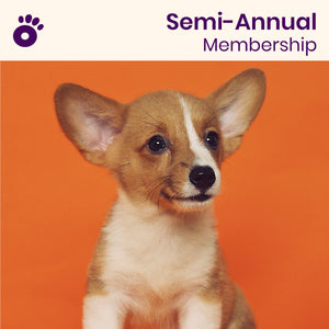 Wiglo Semi-Annual Membership